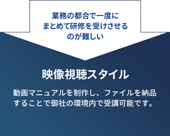 映像視聴スタイル